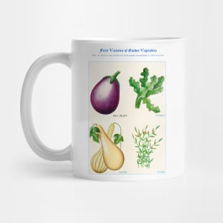 Garden Vegetable watercolor illustration (1915) Mug